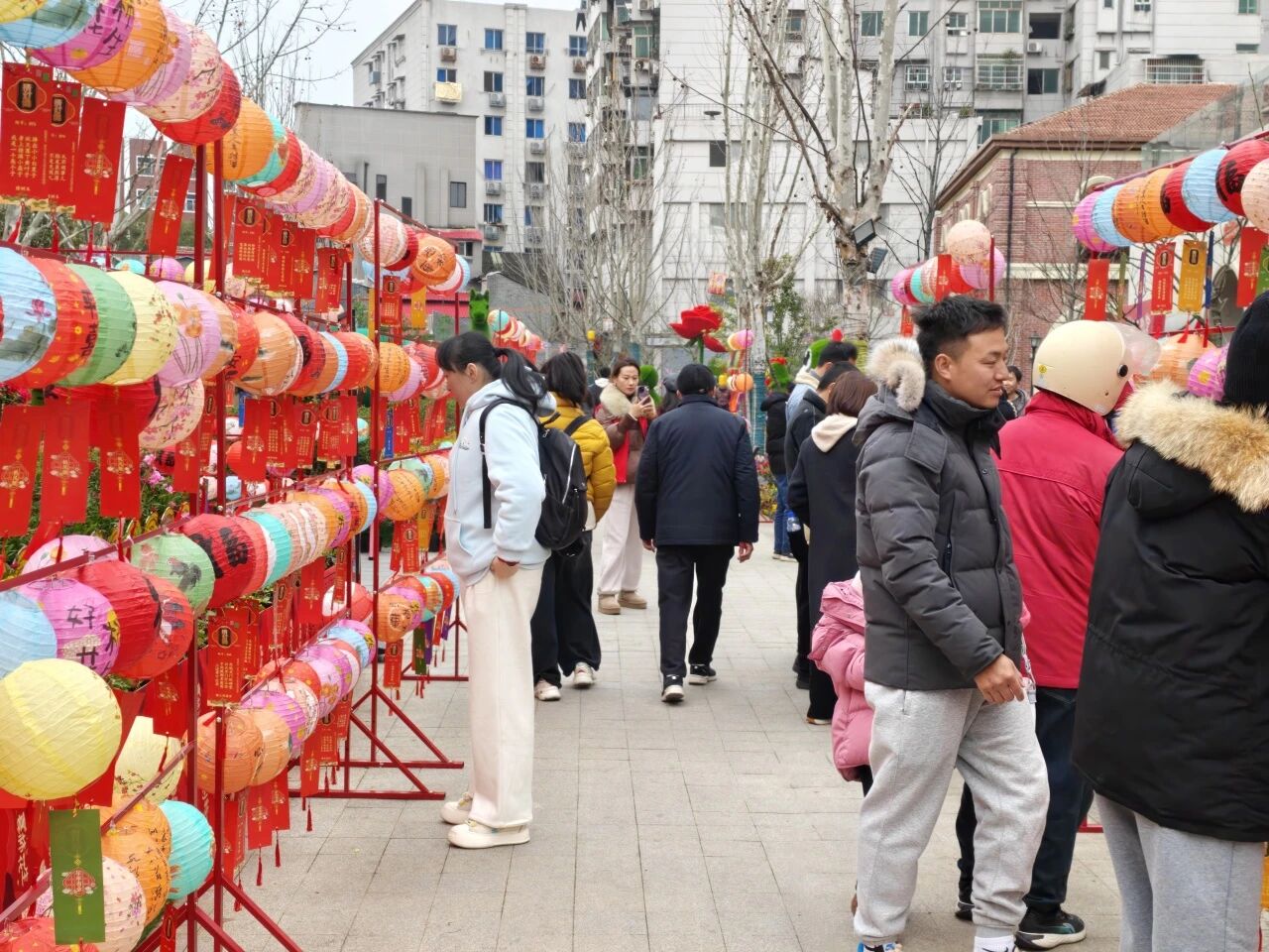 微信图片_2026-03-05_101419_915.jpg