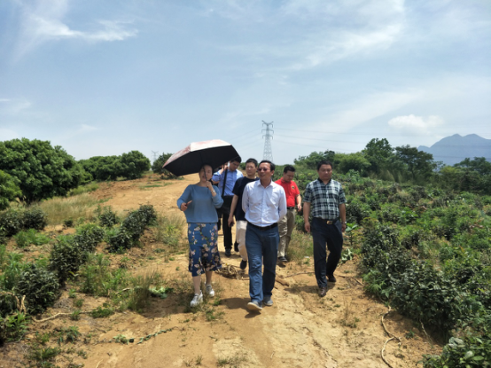 文旅集团赴庐山&middot;东林精舍实地调查